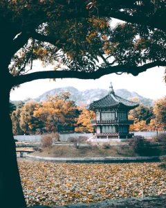 Descubre los destinos turísticos más impresionantes de Corea del Sur